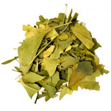 Bai Guo Ye | Ginkgo Leaf |   白果葉